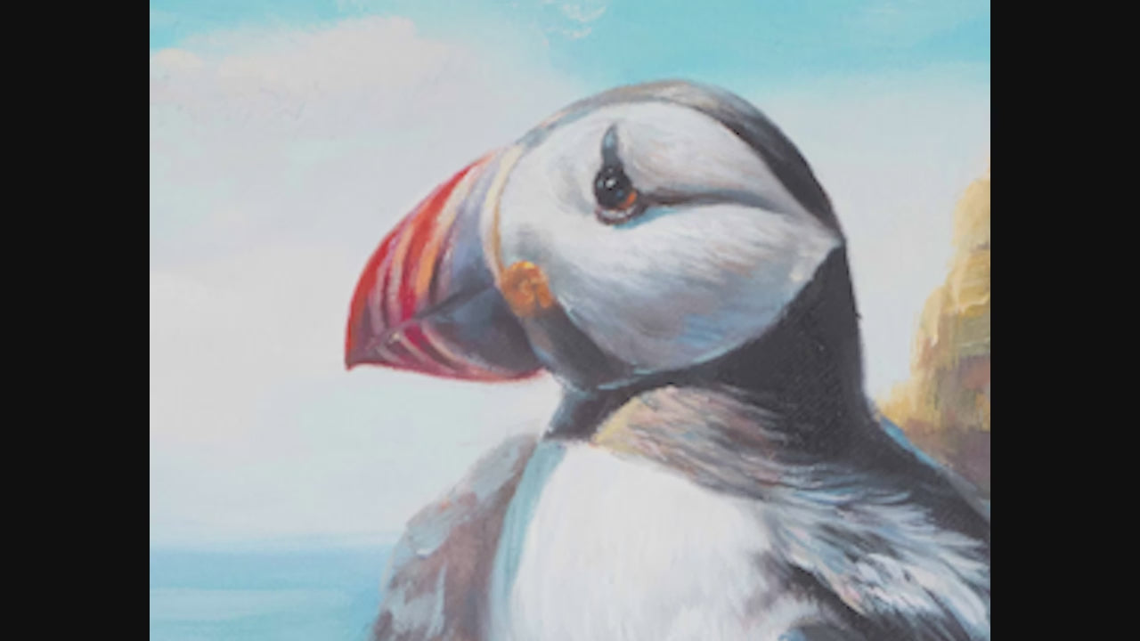 A video of the artist Mr Jin creating a painting of a Puffin on the Northumberland Farne islands